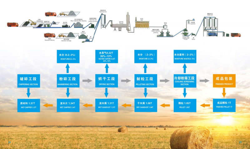 乐球直播宣传册_13 - 副本.png